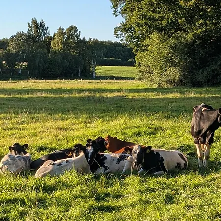 Im Gruenen Mit Terrasse, Garten Und Vielem Mehr Lejlighed Rohlsdorf